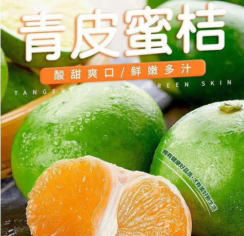 石門蜜橘 孕婦優選的新鮮水果，蜜桔批發全攻略