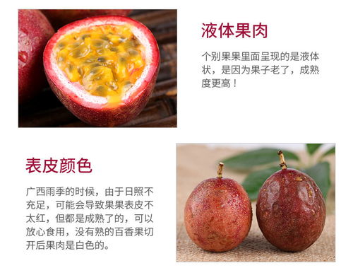廣西百香果 現摘大果新鮮上市，優質批發直供市場