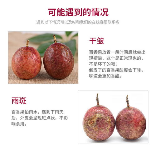 廣西百香果大果3斤現摘新鮮水果批發指南 把握黃金品質，搶占市場先機