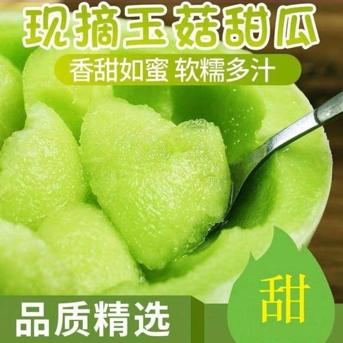 清甜爽脆，夏日瓜香——玉菇甜瓜、哈密瓜、羊角蜜當季批發指南